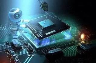 好大學與好專業 網絡科技領域如何明智選擇，拒絕盲目跟風